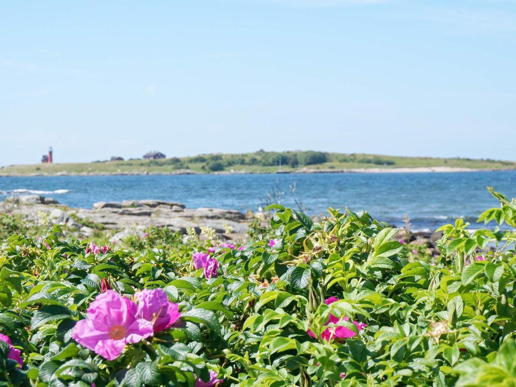 Viii Loma-asunnot Halmstad